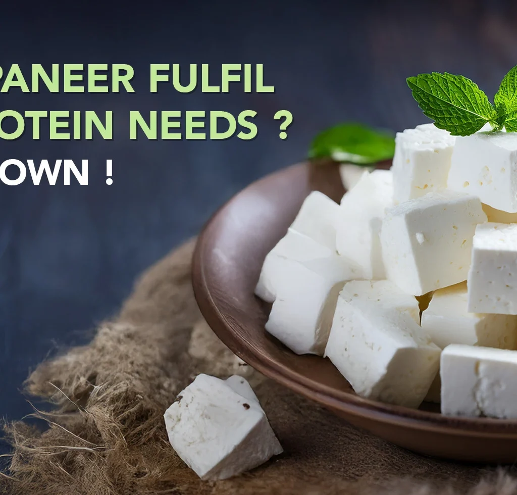 100 gram paneer protein
