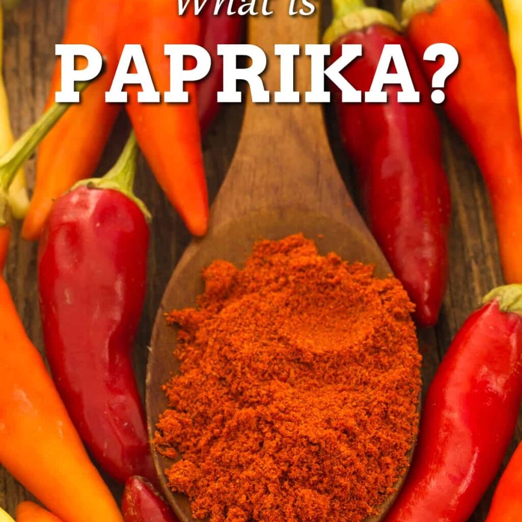 Paprika Powder: The Vibrant Spice That Elevates Every Dish 3 cf641150 ebc3 46db ab7b bdd79fbee36e. CR00970600 PT0 SX970 V1 3 Saagar Restaurant