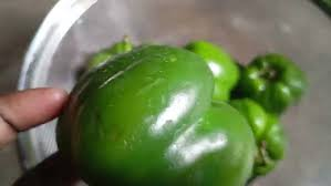 image 158 Saagar Restaurant